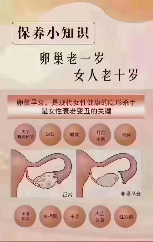 卵巢早衰怎么调理 卵巢早衰怎么调理