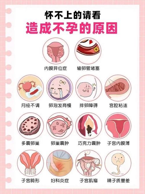 【不孕症分类有哪些】不孕症的表现_不孕症的诊断 【不孕症分类有哪些】不孕症的表现_不孕症的诊断