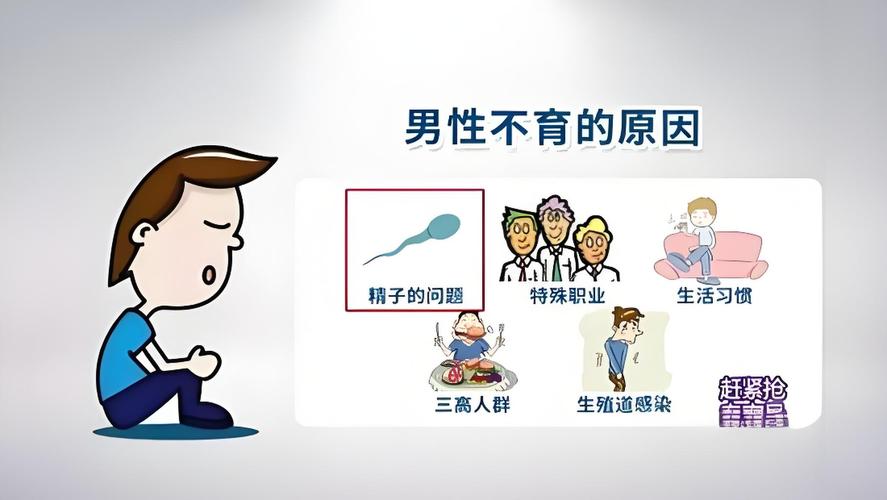 人工授精的治疗过程 人工授精的治疗过程