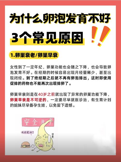 不孕症的中医辨证分型 不孕症的中医辨证分型